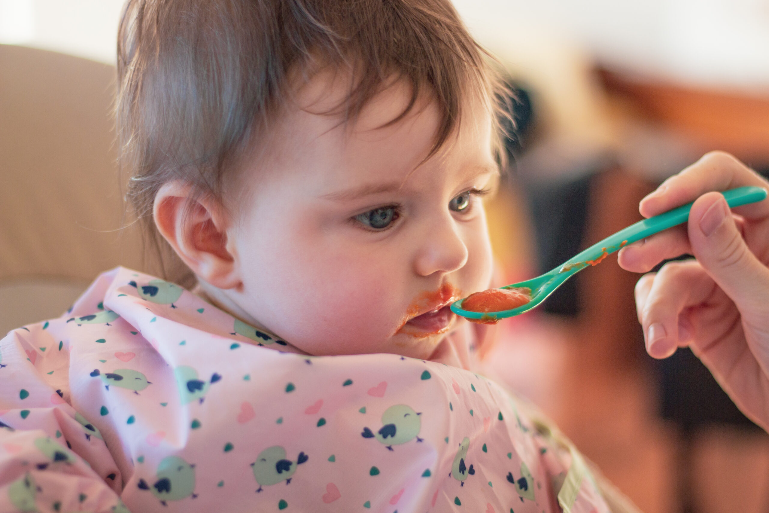 Photo enfant creche repas