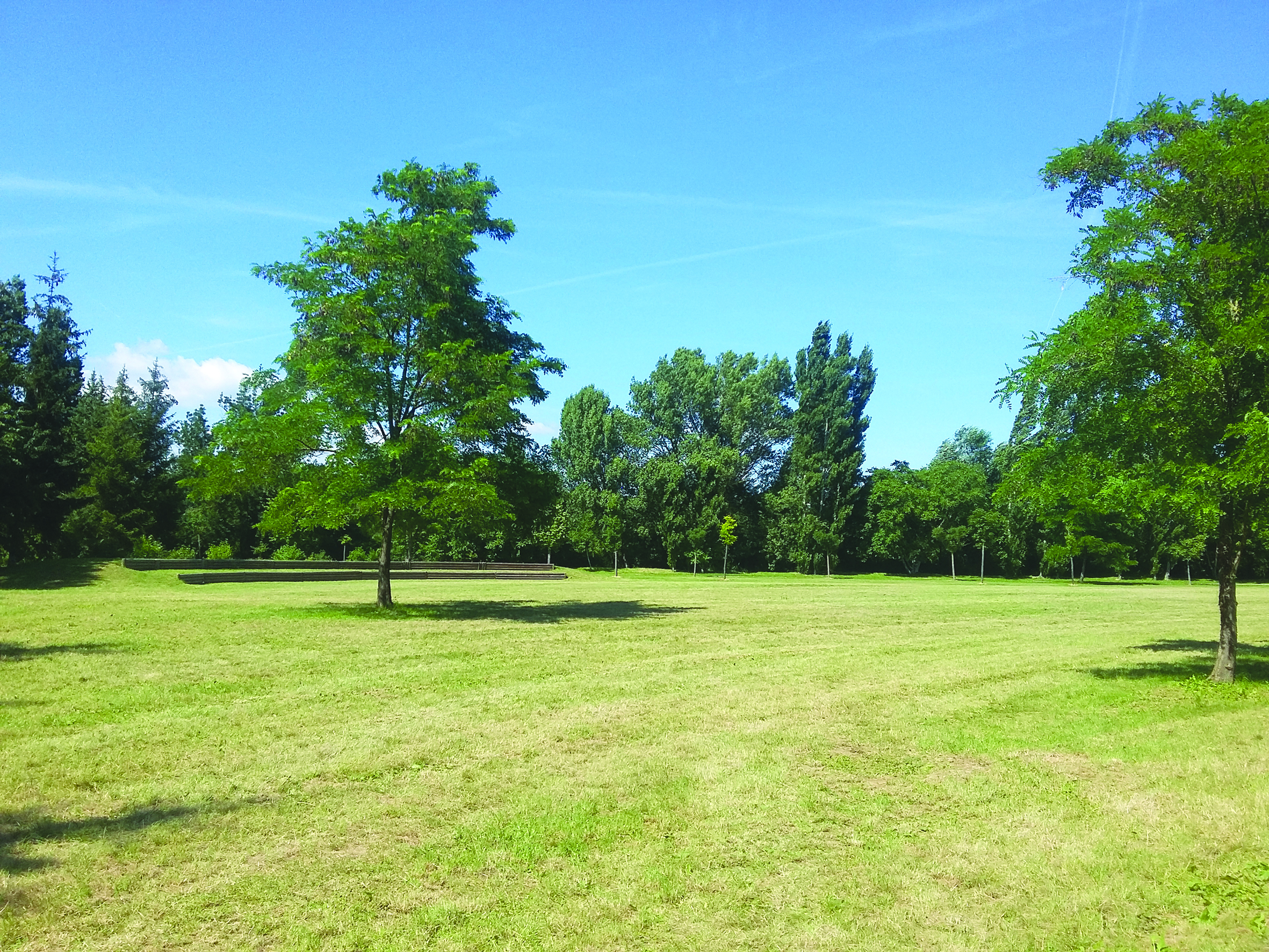 Parc Chandonzet - Arbres